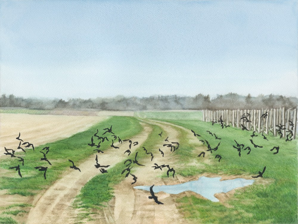 Black_Birds_19x23_framed_watercolor_400.00_rf4ebr