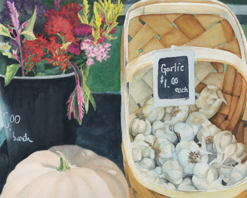 Garlic_13x16_framed_watercolor_275.00_11x14_unframed_giclee_50.00_uixiqa