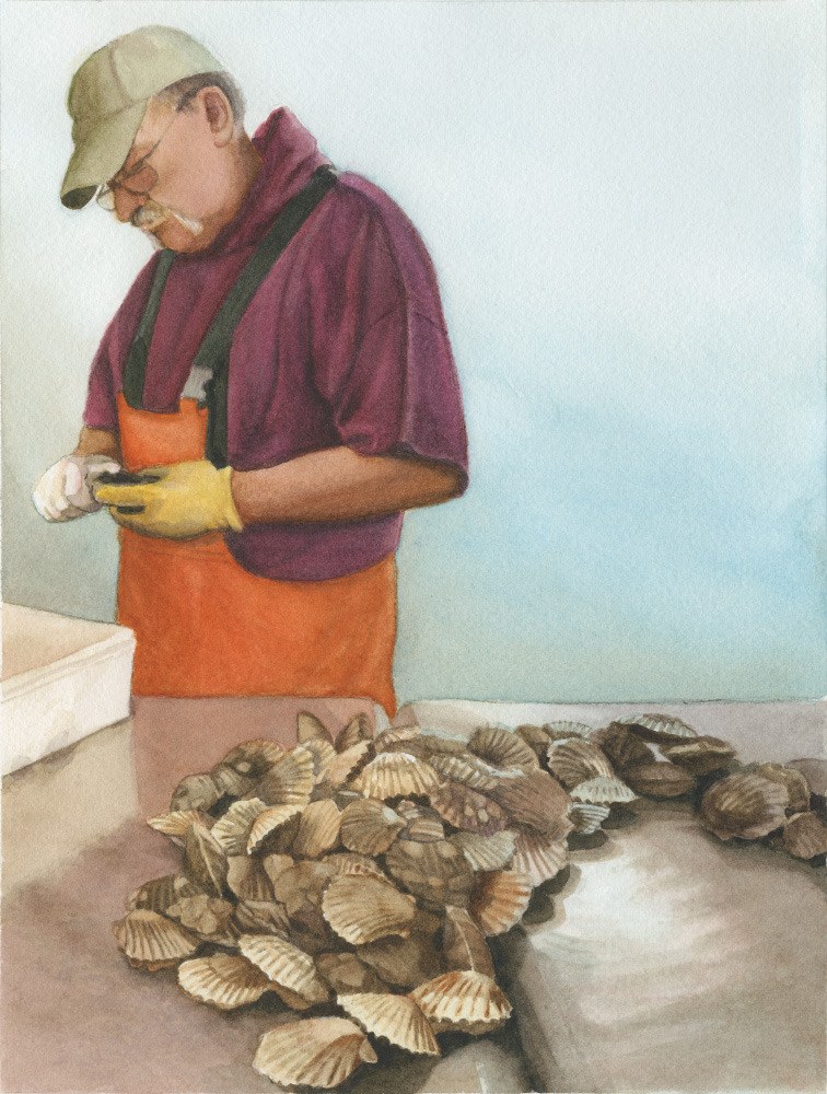 Scallop_Shucking_niwec3